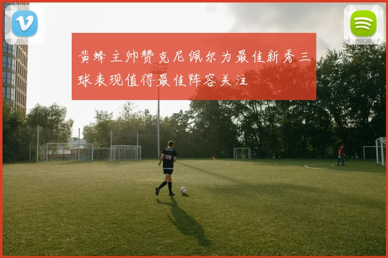 黄蜂主帅赞克尼佩尔为最佳新秀三球表现值得最佳阵容关注