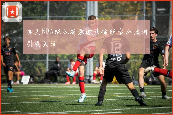 多支NBA球队有意邀请徐昕参加试训引发关注